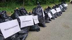 Безразличие, тупость, стадность: 29 мусорных мешков вынес Чистомэн из городского бора