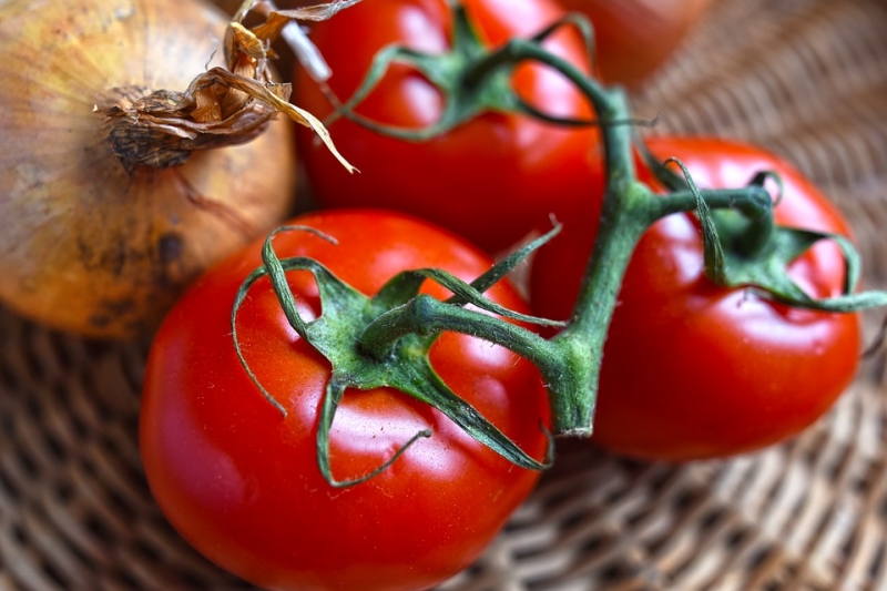 Хороший урожай томатов требует особого ухода в июле — секреты