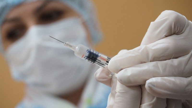 Новый вирус гриппа может появится в России
