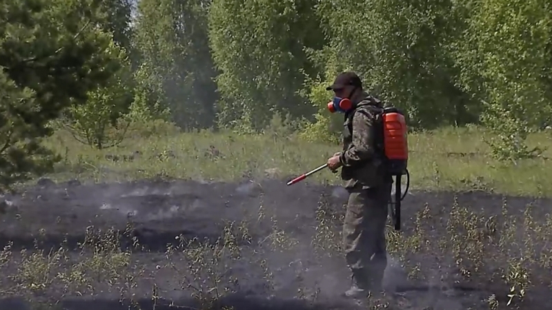 Учения по предотвращению лесных пожаров прошли в Красноармейском районе