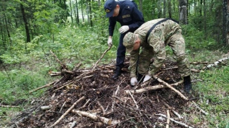 Тело пропавшей жительницы Беларуси нашли в лесу на Южном Урале