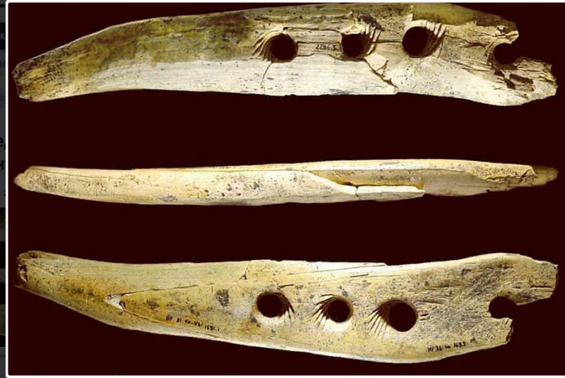 Ученые определили истинное предназначение древнего инструмента из кости мамонта