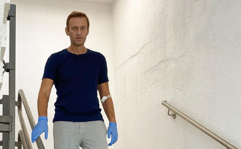 Честные сотрудники Шарите подложили свинью Навальному — педанты, лгать не умеют