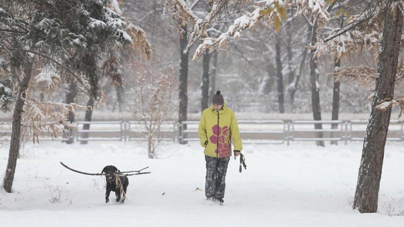 Прогноз погоды на декабрь в Челябинске — 2020: синоптики обещают аномальный месяц