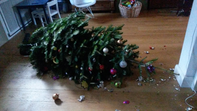 
До какого числа может стоять новогодняя елка в квартире, когда нужно выбрасывать                
