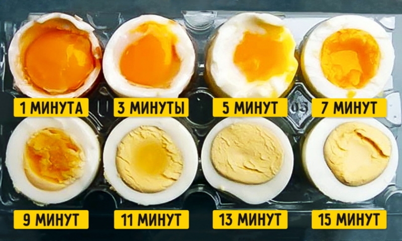 
Как приготовить идеальное яйцо, «подскажет» прикладная физика и особый калькулятор                