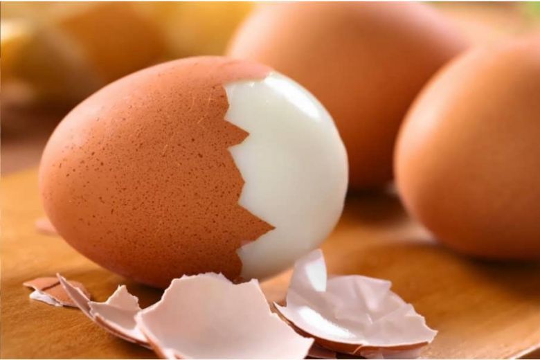 
Как приготовить идеальное яйцо, «подскажет» прикладная физика и особый калькулятор                