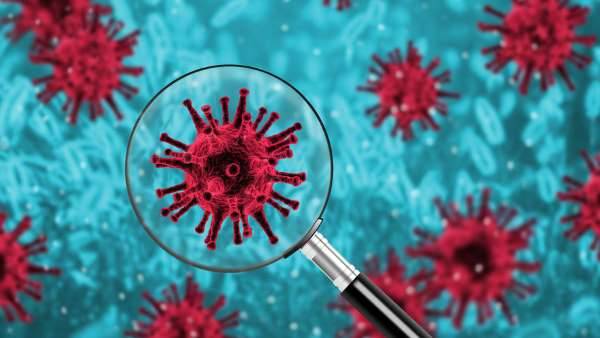 
«Ахиллесова пята» COVID-19: немецкие исследователи обнаружили уязвимость, которая поможет в лечении коронавируса                