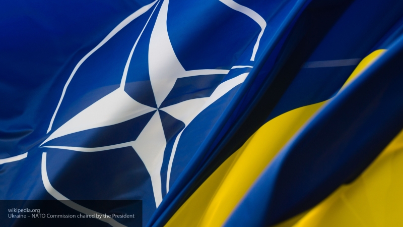 Обновленную Конституцию Украины с курсом «на НАТО» назвали незаконной