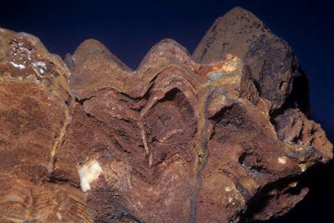 
Строматолиты возрастом 3,7 млрд. лет стали доказательством древнейших следов жизни на Земле                