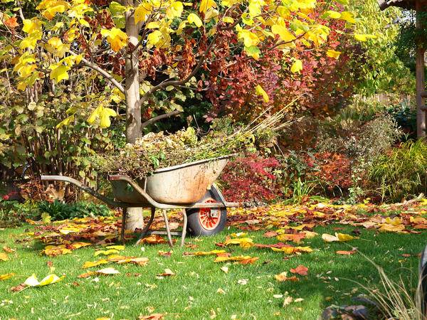 
5 основных шагов для подготовки сада к дачному сезону                