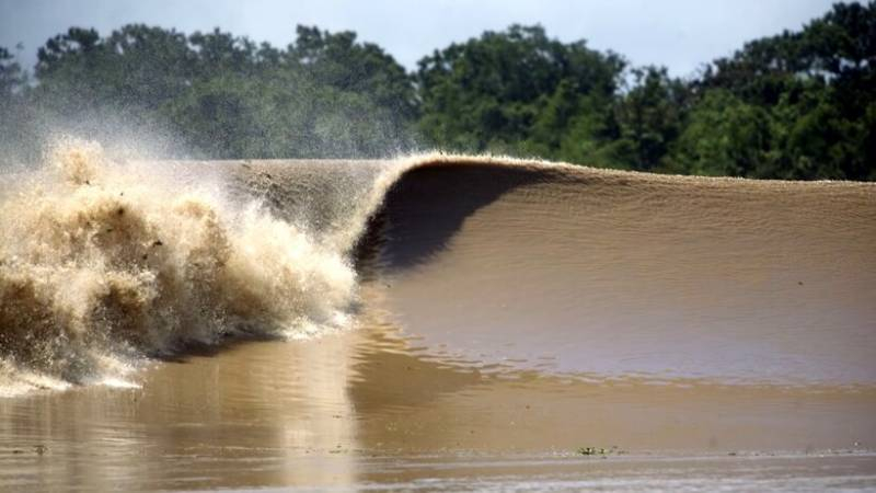 
Почему через реку Амазонку нет ни одного моста                