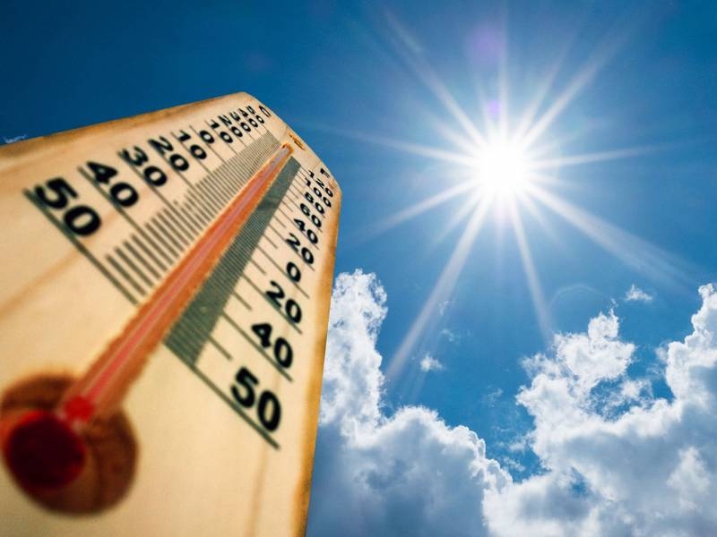 
Как избежать теплового удара в аномальную жару в июне 2021 года                