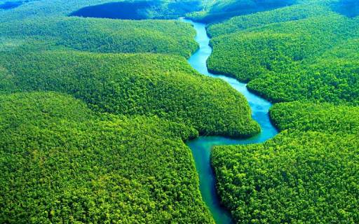 
Почему через реку Амазонку нет ни одного моста                