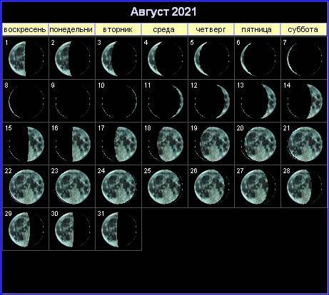 
Стрижка в августе 2021 года по лунному календарю                