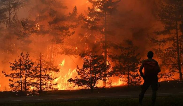 
Стала известна причина лесного пожара, из-за которого в Марий Эл введен режим ЧС                