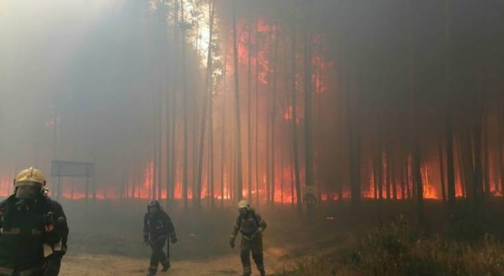 
Стала известна причина лесного пожара, из-за которого в Марий Эл введен режим ЧС                