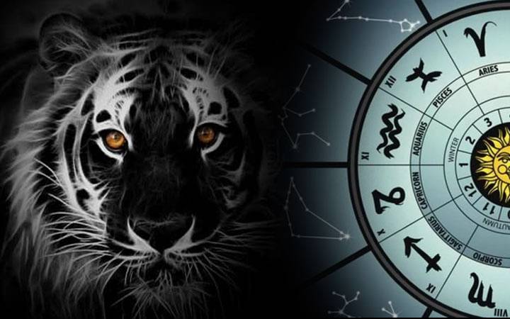 
Три знака китайского зодиака, которым крупно повезет в 2022 году Тигра                