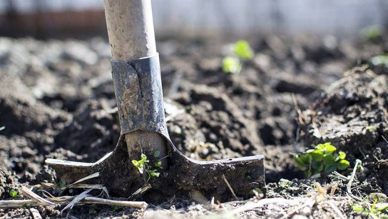 
Дачные хлопоты: какие выбрать осенние удобрения для сада и огорода в 2021 году                