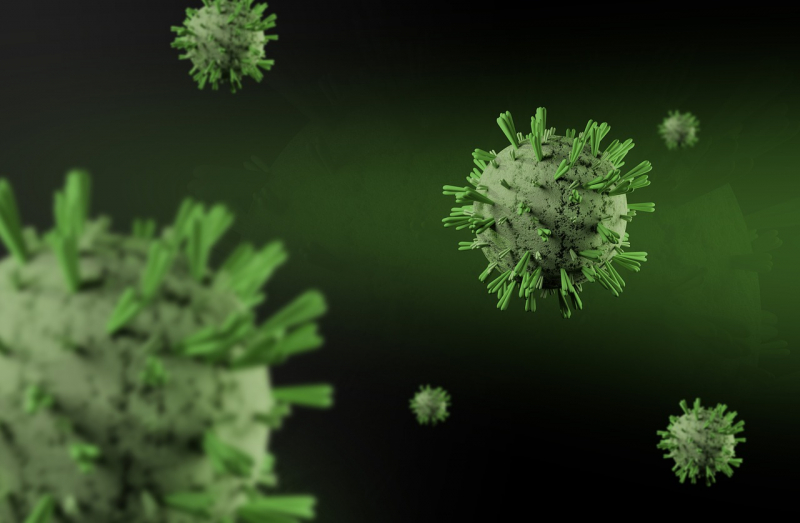 Ученые выяснили, как долго сохраняется иммунитет у переболевших COVID-19