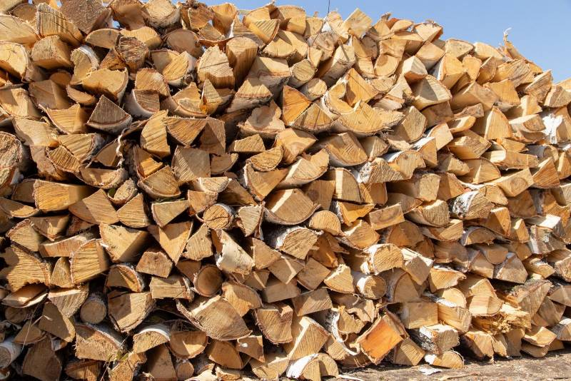 
Мэр Москвы Сергей Собянин: «Пожилые люди могут получить дрова на дачу в период самоизоляции»                