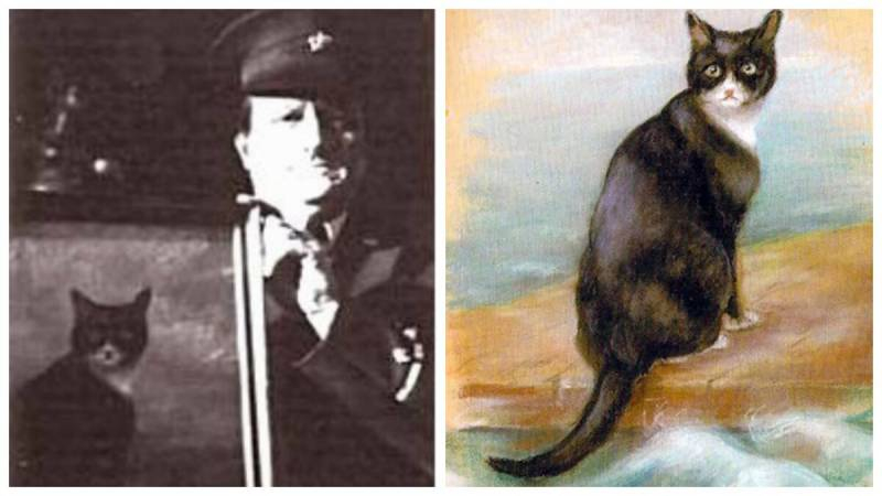 
Для чего моряки брали котов в плавание и какую пользу приносили животные на борту корабля                