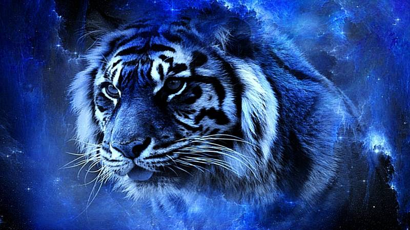 
Восточный гороскоп на 2022 год Черного Водяного Тигра для всех знаков зодиака                