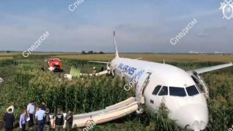 В «Уральских авиалиниях» рассказали о судьбе севшего в поле Airbus