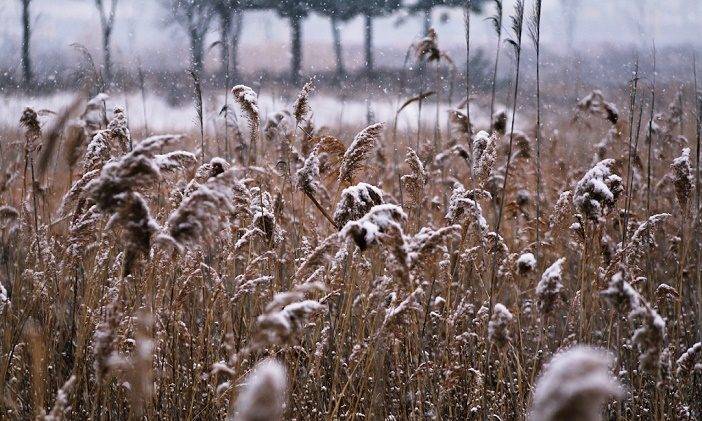 
«Анна холодная — осень голодная»: почему на Руси 16 ноября старались не покидать дом и как определяли погоду на будущий год                