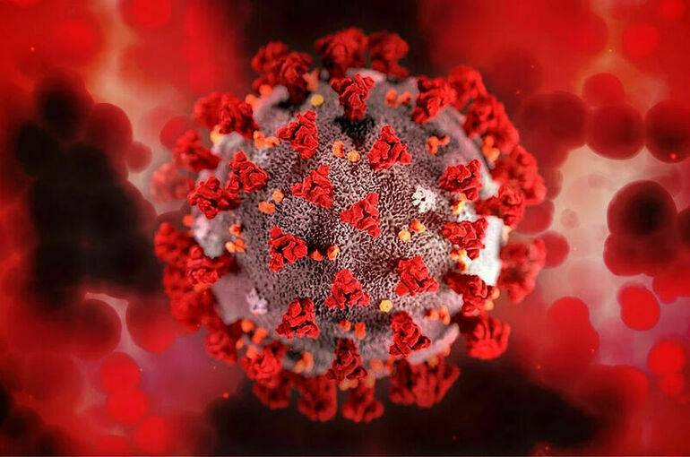 
Распространение коронавируса в России, новости на 3 декабря 2021 года                