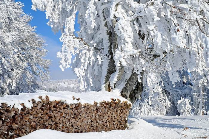 
Почему на Спиридона Солнцеворота 25 декабря нельзя работать и как на Руси определяли погоду на Новый год                