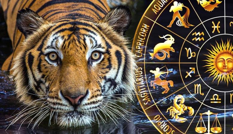
Шесть знаков зодиака, которых Черный Тигр одарит своей милостью в 2022 году                