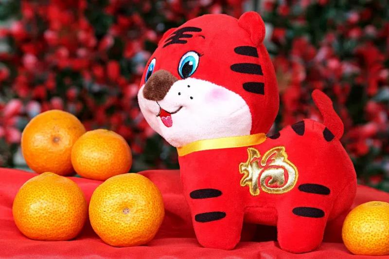 Китайский Новый 2022 год: как и когда праздновать год Тигра — дом украшаем красным и кладем монетку в пельмени