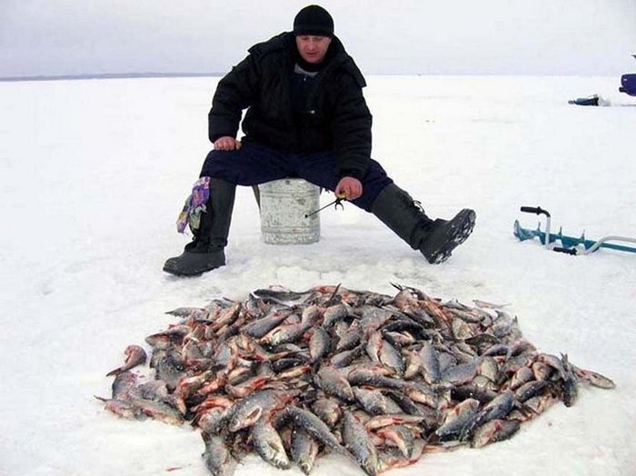 Зимняя рыбалка 2022: лучшие дни для клева в феврале. На что ловить рыбу на речке и озере