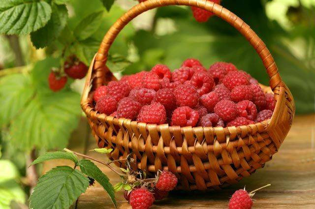 
Топ-5 самых полезных ягод для человеческого организма                