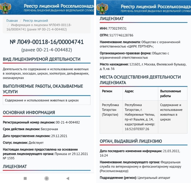 «Слоны истощены и могут умереть»: жители Златоуста выступили против Цирка братьев Гертнер