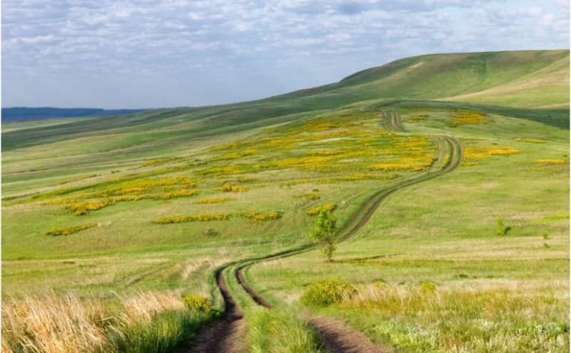 
Чтобы деньги в доме водились: что запрещалось делать на Пахома Теплого 28 мая                