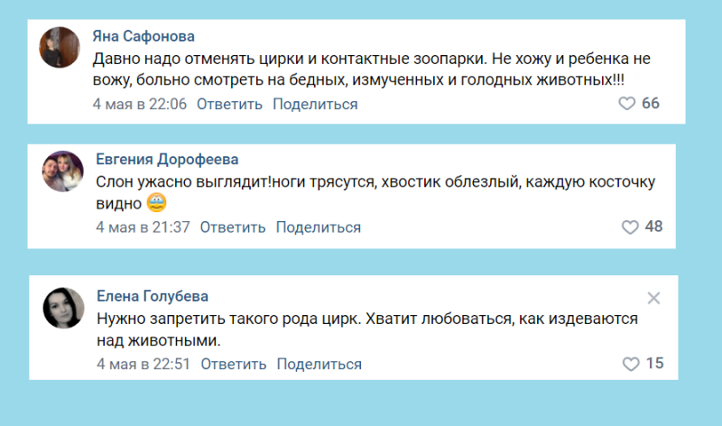 «Слоны истощены и могут умереть»: жители Златоуста выступили против Цирка братьев Гертнер