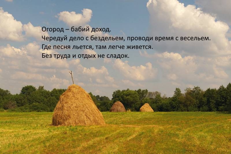 
Как женщины привлекали достаток в дом на Летние Кузьминки, 14 июля 2022 года                