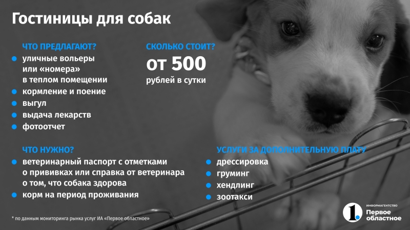 Куда в Челябинске пристроить домашних животных на время отпуска