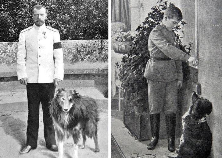 
Животные семьи Романовых: что случилось с домашними любимцами царской семьи после 1918 года                