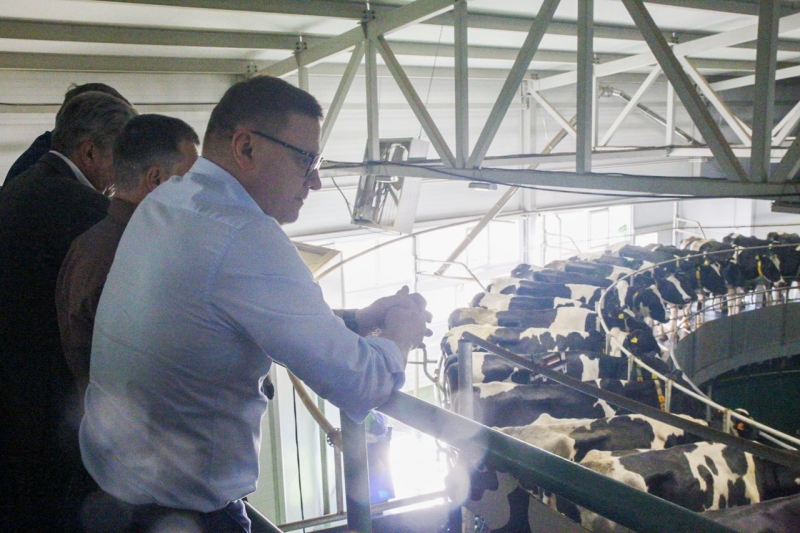 В Еткульском районе запустили доильную «карусель» для увеличения молока до 100 тонн в сутки