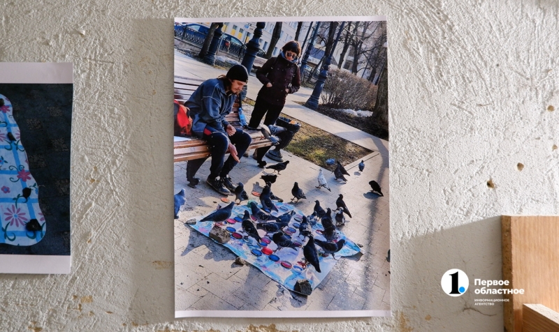 Зачем искусство голубям: в Челябинске выставили арт-объекты для птиц