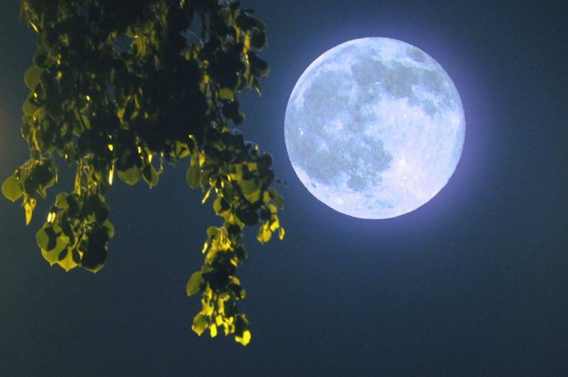 
Лунный гороскоп на неделю с 24 по 30 октября 2022 года: кого ждут крайне непростые и насыщенные моменты                