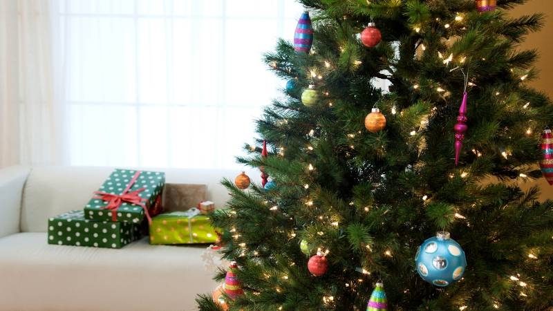 
«И вот она нарядная на праздник к нам пришла!» Как появилась традиция ставить ёлку на Новый год и Рождество                