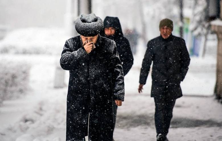 
В Роспотребнадзоре рассказали, насколько опасен свиной грипп в России в 2022 году                