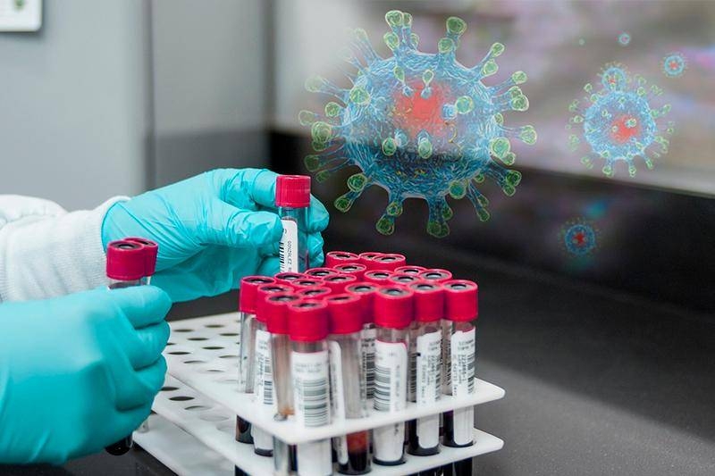 
Эпидемиолог пояснила, кто входит в группу риска по заражению свиным гриппом                