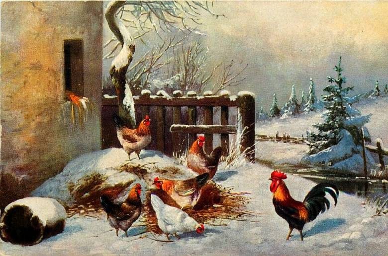 
Сильвестров день 15 января: почему его называют «куриным» и что строго запрещено делать                