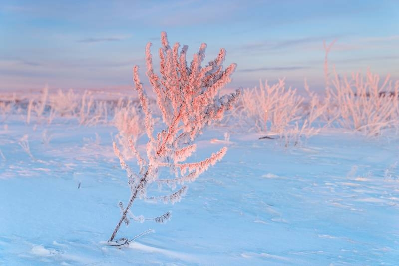 
Как на народный праздник Никиты Пожарника 13 февраля на Руси оберегали дом от огня                