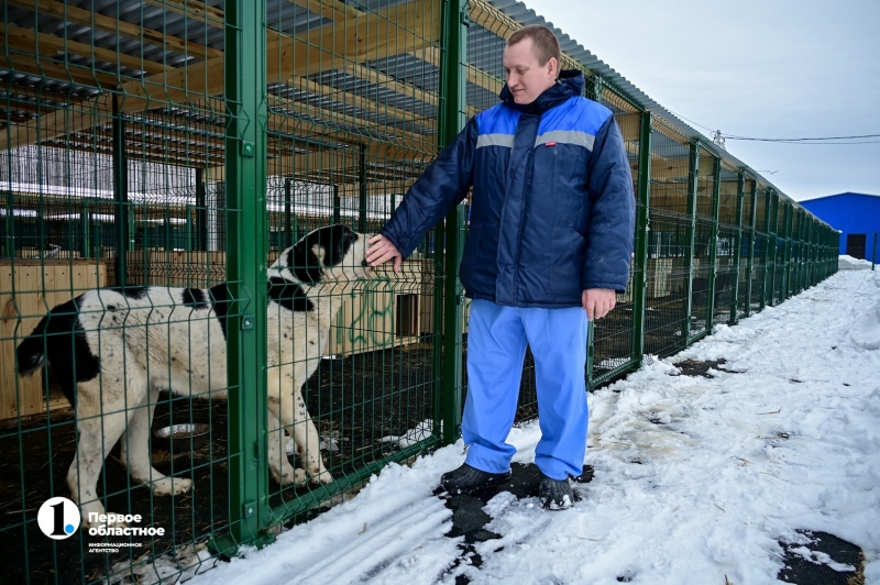 Остров надежды для собак под Челябинском